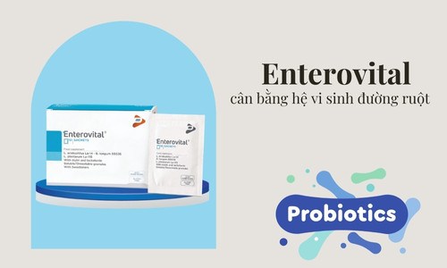 enterovital-b2.jpg