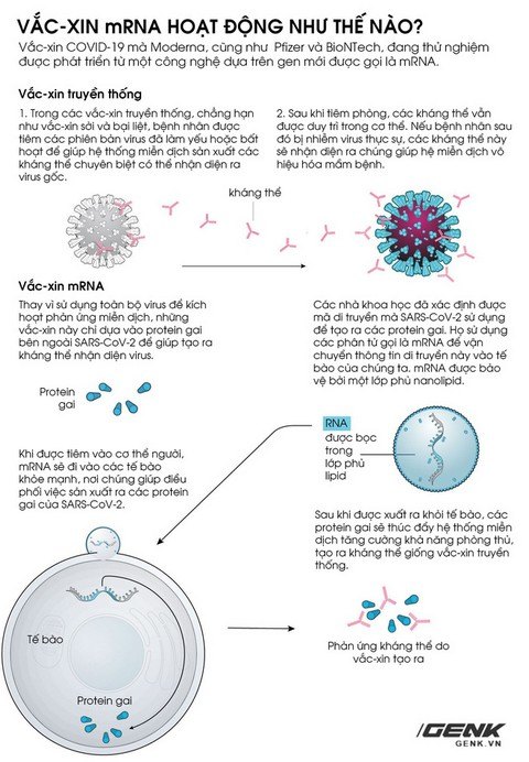 VAC-XIN-MRNA.jpg