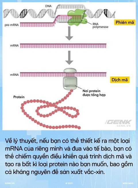 m-1.jpg