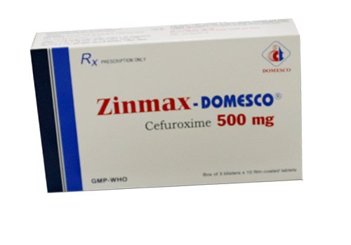 Zinmax Domesco 500mg
