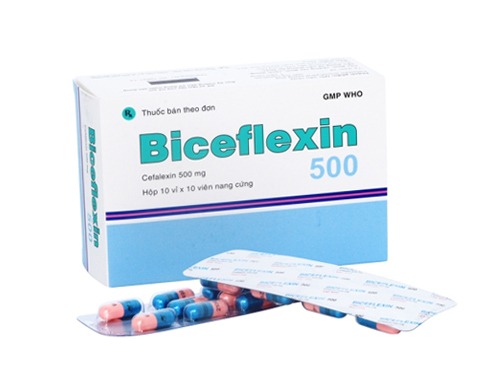 Biceflexin 500