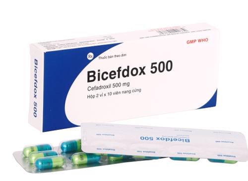 Bicefdox 50