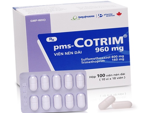 pms-Cotrim 960mg