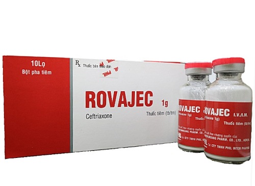 Rovajec