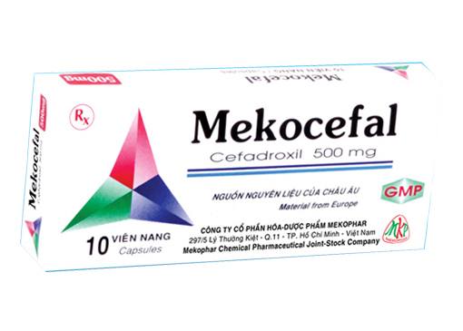 Mekocefal