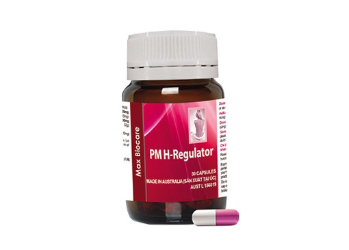 PM H-Regulator