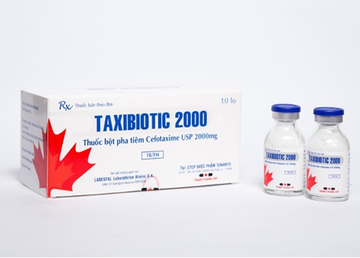 Taxibiotic 2000