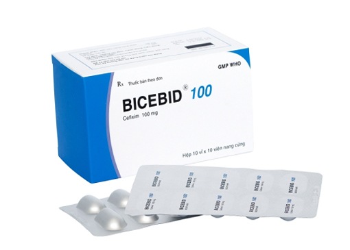 Bicebid 100