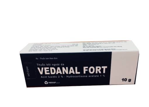 Vedanal fort