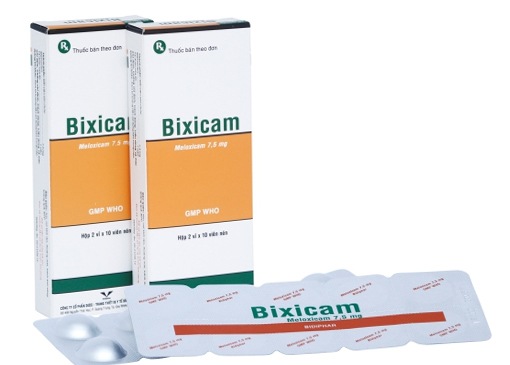Bixicam