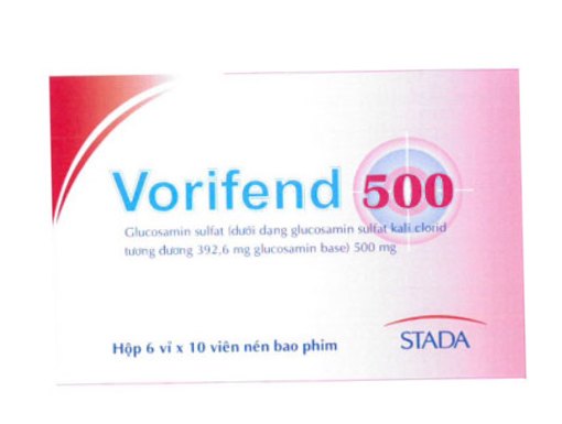Vorifend 500