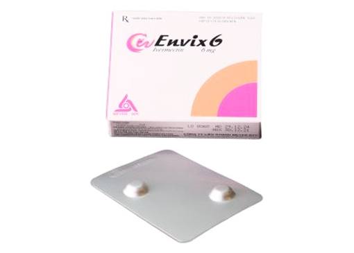 Envix 6