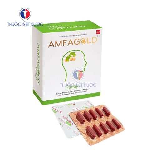 Amfagold - Hỗ trợ bổ não và tăng cường tuần hoàn máu não