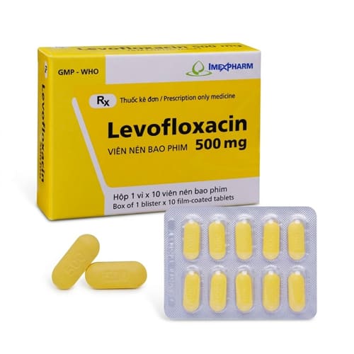 Levofloxacin 500mg
