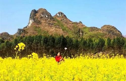 Nhiễm khuẩn hô hấp cấp : Dùng thuốc cho trẻ dưới 5 tuổi như thế nào?