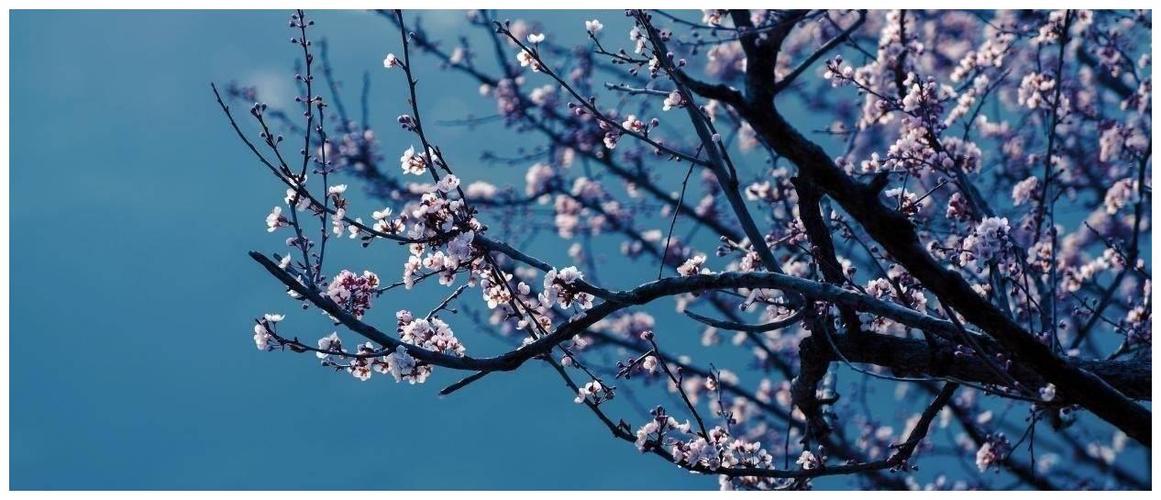 Cẩn trọng khi trẻ uống thuốc