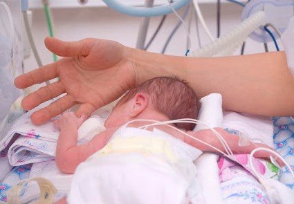 Vi khuẩn đường ruột ảnh hưởng đến sự phát triển của não