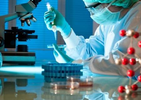 P53 có thể là chìa khóa để Tải xuống APK HB88 Hoàn Trả Siêu Cao Hp88 nhà cái casino quốc tế tuyến nước bọt