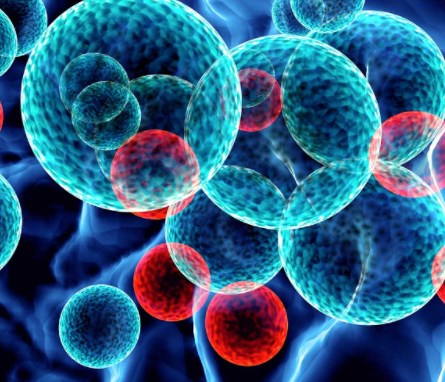 Vắc xin COVID-19 dựa trên hạt nano có thể nhắm vào các bệnh truyền nhiễm trong tương lai