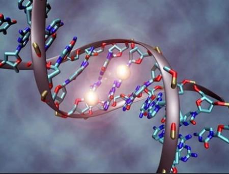 Phân tích DNA của hàng nghìn khối u để tìm nguyên nhân gây Hp88 nhà cái casino quốc tế