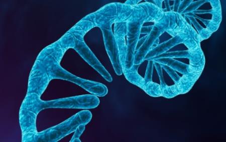 Micro RNA hạt nhân mới đang được phát triển để Tải xuống APK HB88 Hoàn Trả Siêu Cao bệnh tim mạch