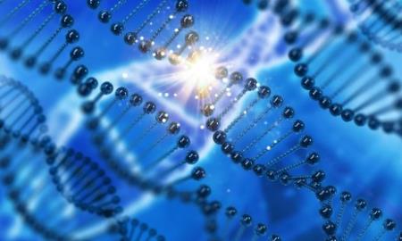 DNA 'rác' có thể dẫn đến Hp88 nhà cái casino quốc tế bằng cách ngừng sao chép DNA