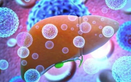 Các nhà HB88 Trang Chủ Nhà Cái Đăng Ký Chính Thức khám phá ra chìa khóa cho sự nhân lên của virus viêm gan A