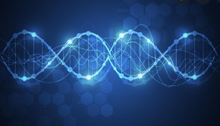 Nhà Cái Cá Cược Uy Tín 【HP88 Vina】 cho thấy những người có khuôn mặt giống nhau có thể có DNA tương tự