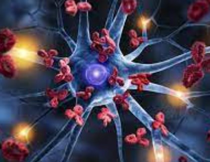 Các nhà HB88 Trang Chủ Nhà Cái Đăng Ký Chính Thức phát triển cảm biến phát hiện sớm bệnh Alzheimer