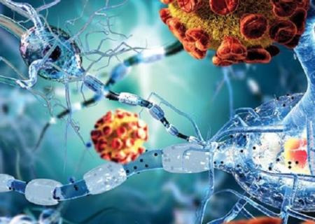 Protein chống nấm có thể giúp khắc phục bệnh tự miễn và Hp88 nhà cái casino quốc tế nghiêm trọng