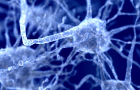 Sửa đổi RNA cho protein liên quan đến thoái hóa thần kinh trong ALS
