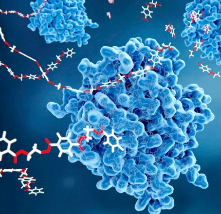 Các nhà Hb88.com được cấp phép hoạt động bởi Pagcor tạo ra enzyme nhân tạo để phát hiện nhanh hormone liên quan đến bệnh tật trong mồ hôi
