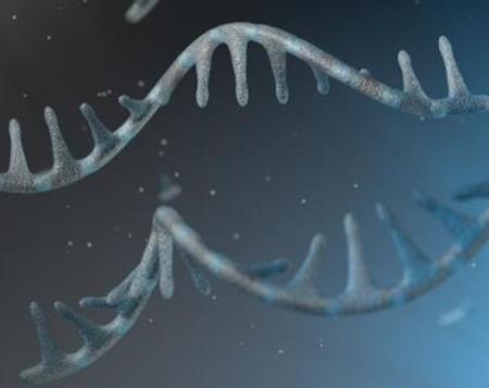 Làm thế nào một chuỗi micro RNA là chìa khóa để chống lại bệnh Hp88 nhà cái casino quốc tế