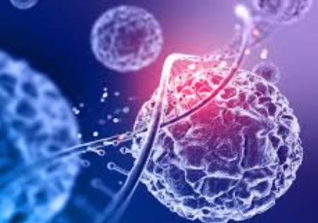 Các nhà Hb88.com được cấp phép hoạt động bởi Pagcor phát triển cách mới để nhắm mục tiêu các tế bào Hp88 nhà cái casino quốc tế