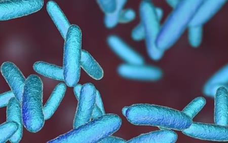 Liệu pháp tiêu diệt Hb88.com được cấp phép hoạt động bởi Pagcor siêu độc Klebsiella pneumoniae