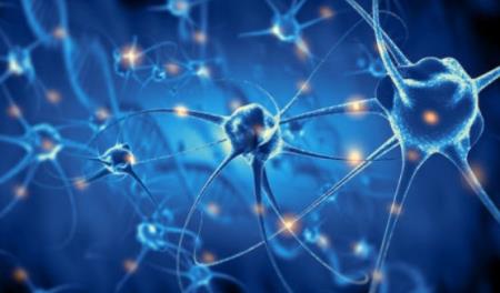 Thuốc Crexont Tải xuống APK HB88 Hoàn Trả Siêu Cao bệnh Parkinson
