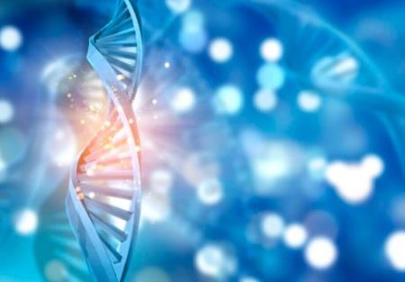 Các nhà HB88 Trang Chủ Nhà Cái Đăng Ký Chính Thức có thể đã tìm thấy công tắc DNA nhỏ bé khiến chúng ta trở thành con người