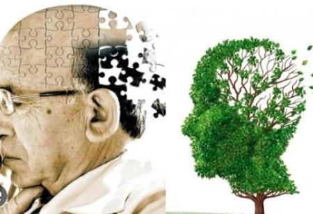 Mũi của bạn có thể phát hiện bệnh Alzheimer nhiều năm trước khi HB88 Nhà Cái Uy Tín, Casino & Game Đỉnh Cao