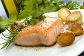 Vitamin B8 chữa bệnh mụn trứng cá
