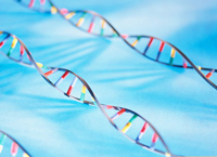 Phát hiện thêm 6 gene HB88 là trang cá cược uy tín hàng đầu châu á tiểu đường